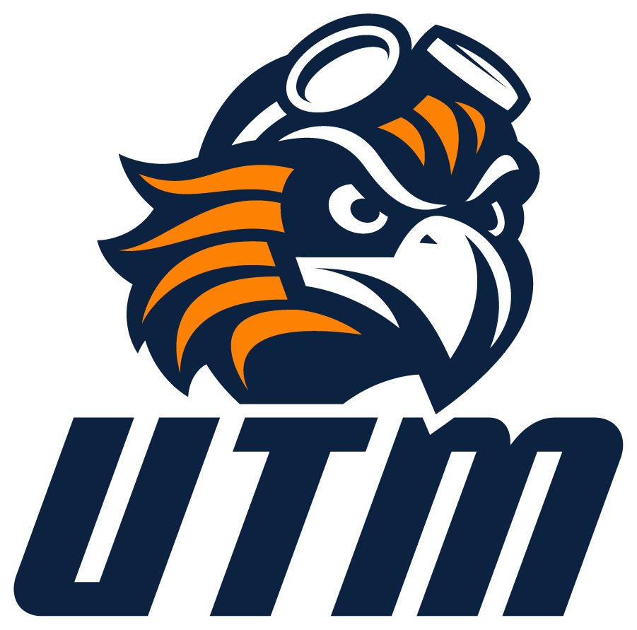 Tennessee-Martin Skyhawks 2020-Pres Alternate Logo v2 diy iron on heat transfer